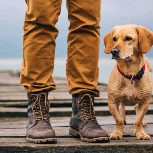 AdobeStock_116404233-scaled.jpeg