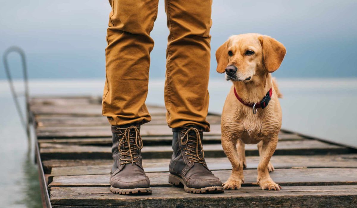 AdobeStock_116404233-scaled.jpeg