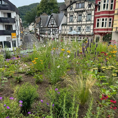 Gründach