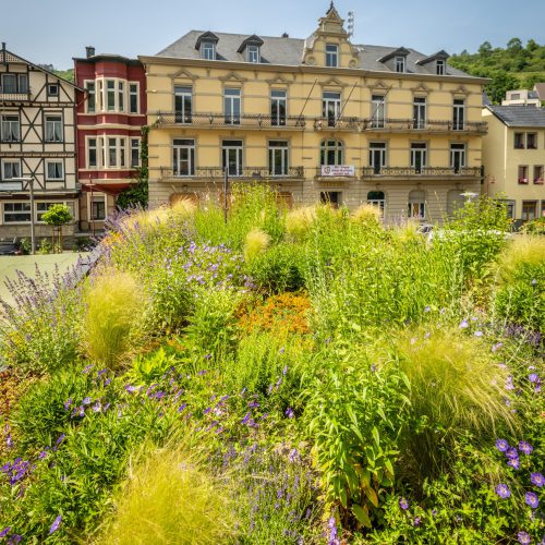 Wershofen-Garten-2025-144